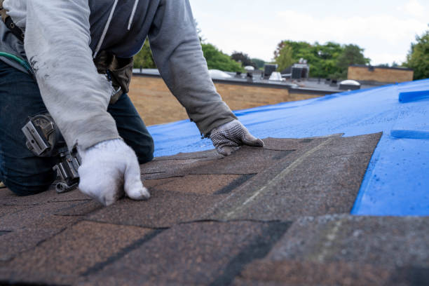 Best Roof Waterproofing Services  in Gunnison, CO
